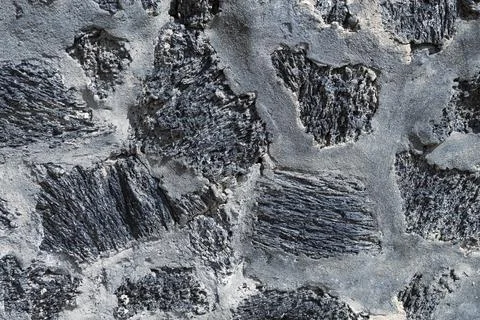 Texture of volcanic stone, close-up Stock Photos