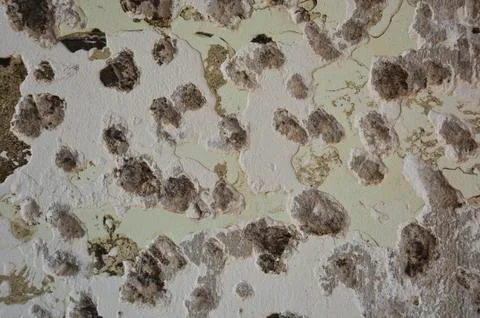 Texture of the wall and plaster. Background. Stock Photos
