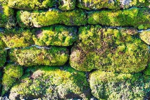 Texture wall background pattern of old moss covered vintage weathered stone Stock Photos