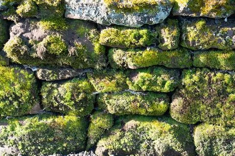 Texture wall background pattern of old moss covered vintage weathered stone Stock Photos