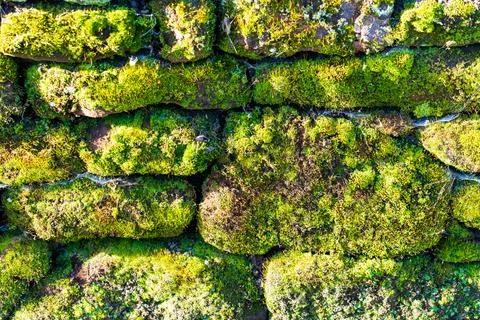 Texture wall background pattern of old moss covered vintage weathered stone Stock Photos