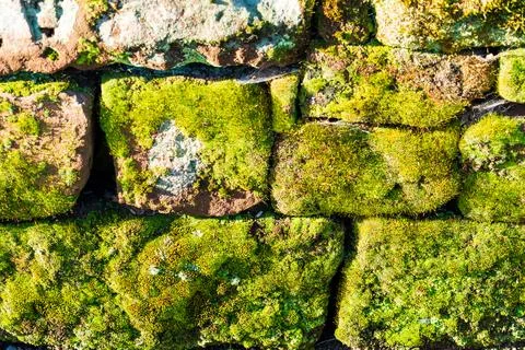 Texture wall background pattern of old moss covered vintage weathered stone Stock Photos