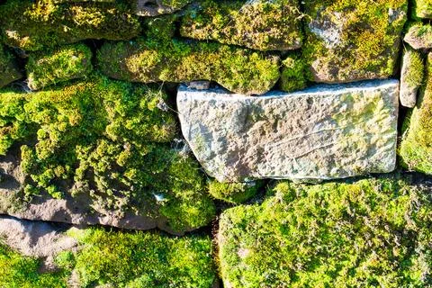 Texture wall background pattern of old moss covered vintage weathered stone Stock Photos