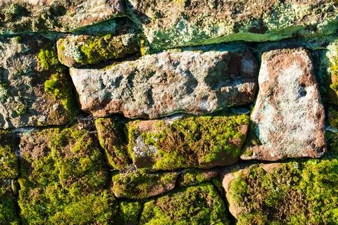 Texture wall background pattern of old moss covered vintage weathered stone Stock Photos