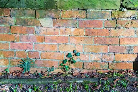 Texture wall background pattern of old vintage weathered bricks Stock Photos