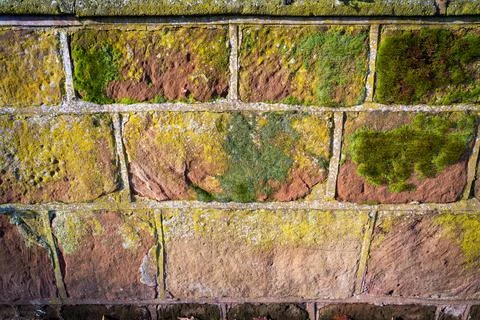 Texture wall background pattern of old vintage weathered brick Stock Photos