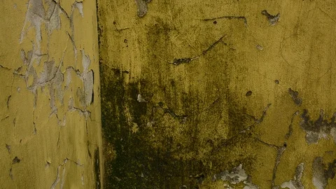 Texture wall Stock Footage 121266989