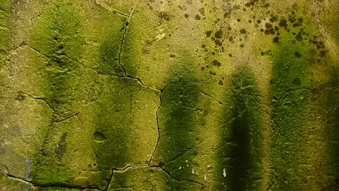 Texture wall Stock Footage 121267447