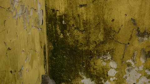 Texture wall Stock Footage 121267800