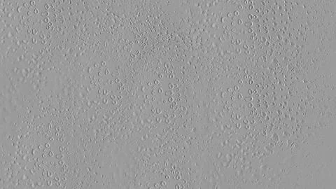 Texture wall gray background drops clay cement plaster surface Stock Illustration