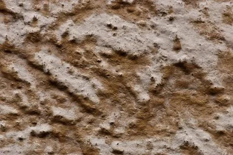 Texture of the wall. Stock Photos