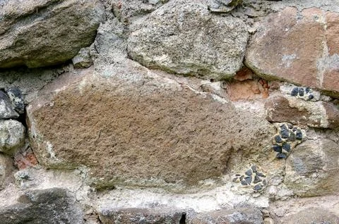 The texture of a wall Stock Photos