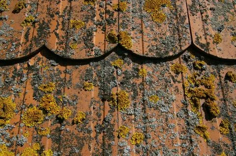 The texture of a wall Stock Photos