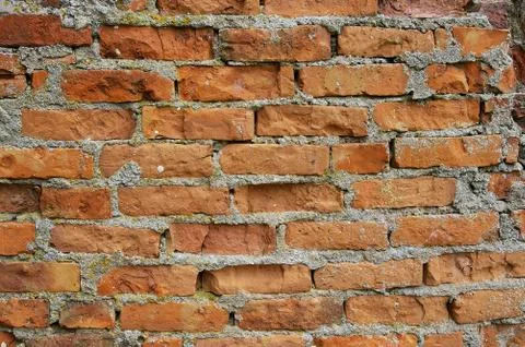 The texture of a wall Stock Photos