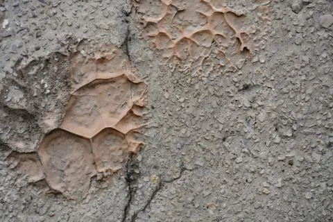 Texture wall Stock Photos