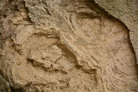 Texture wall Foto stock