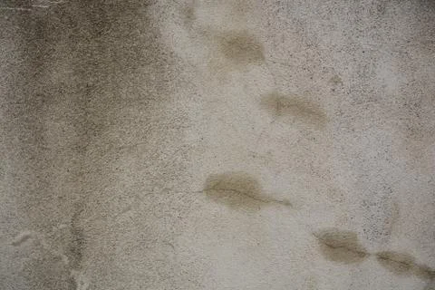 Texture wall Stock Photos