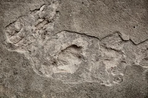 Texture wall Stock Photos