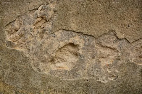 Texture wall Stock Photos