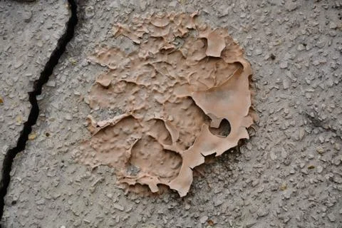 Texture wall Stock Photos