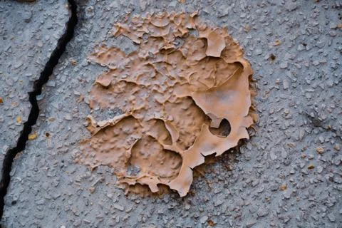 Texture wall Stock Photos