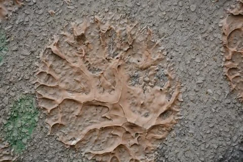 Texture wall Stock Photos