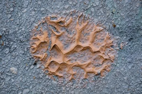 Texture wall Stock Photos