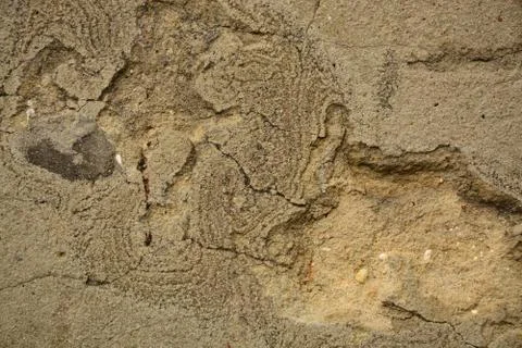 Texture wall Stock Photos