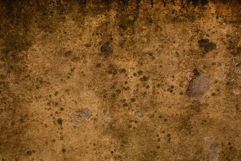 Texture wall Фото