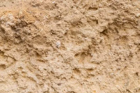 Texture in a wall Stock Photos