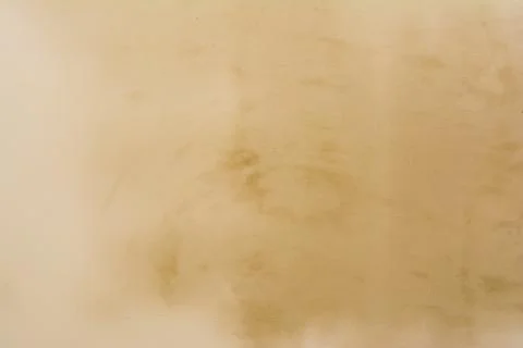 Texture of a wall with a rendered raw plaster Foto stock