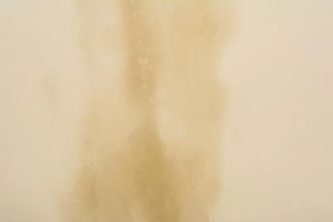 Texture of a wall with a rendered raw plaster Foto stock