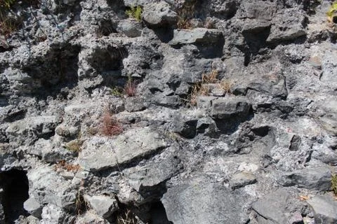 The texture of the wall rocks Stock Photos