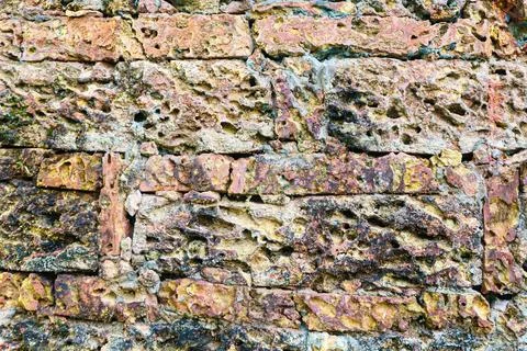 Texture of the wall with shell material Stock Photos