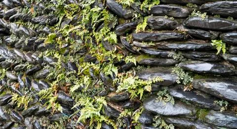 Texture wall of stone Stock Photos