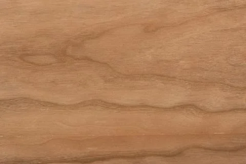 Texture of walnut veneer, close-up. Stock-Fotos