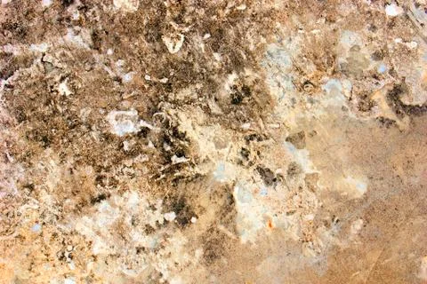 Texture Warm Coloration Stock Photos