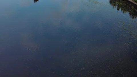Texture of water and algae on the surface, top view. Environmental problem of Stock Footage 123045596