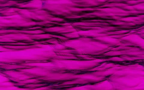 Texture of water and soft waves - background. Stock Illustration