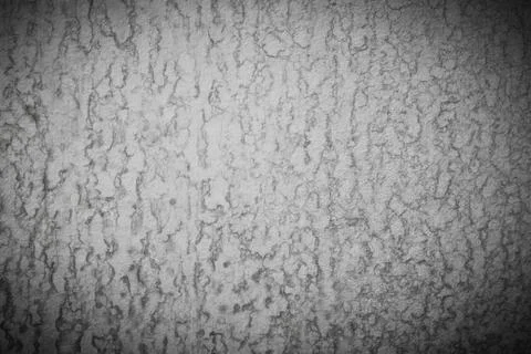 Texture water dry Stock Photos