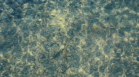 Texture of the water Stock Footage 61331972