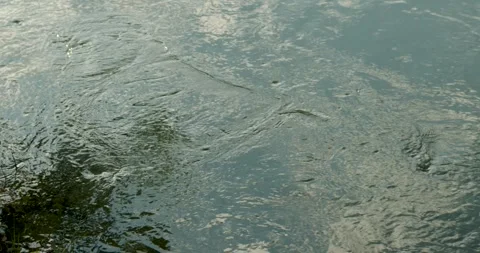 Texture of water in a full-flowing mountain river in spring Stock Footage 273473752