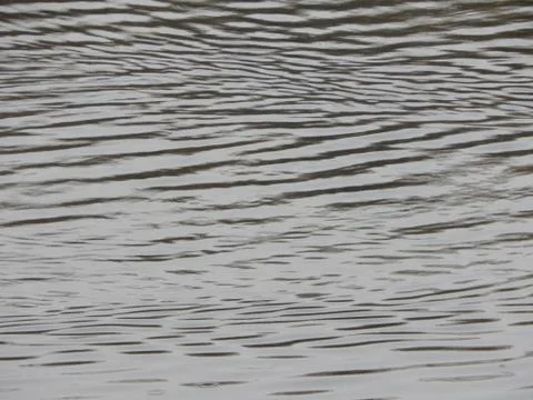 Texture of water in a river, surface in the rain, stains Stock Photos