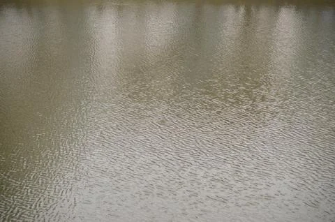 The texture of the water in the river under the influence of wind. A lot of s Stock Photos