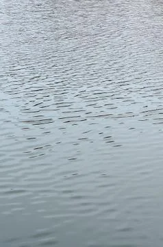 The texture of the water in the river under the influence of wind. A lot of s Stock Photos