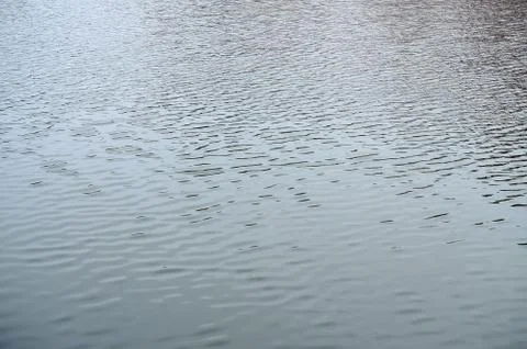 The texture of the water in the river under the influence of wind. A lot of s Stock Photos