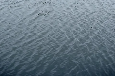 The texture of the water in the river under the influence of wind. A lot of s Stock Photos
