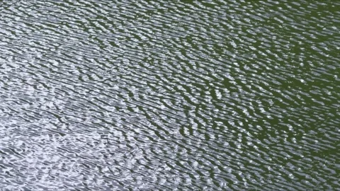 Texture of a water surface with ripples, creating a soft and dynamic visual.. Stock Footage 311731887