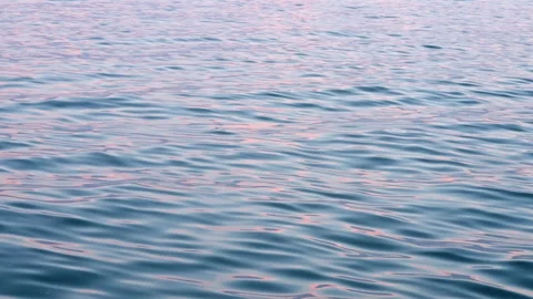 Texture water surface small waves blue pink color slow motion move form ripples Stock Footage 263474573