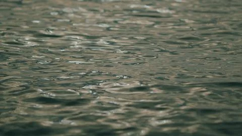 Texture Water Surface Small Waves Ripples At Sunset In Summer Evening. Water 스톡 사진